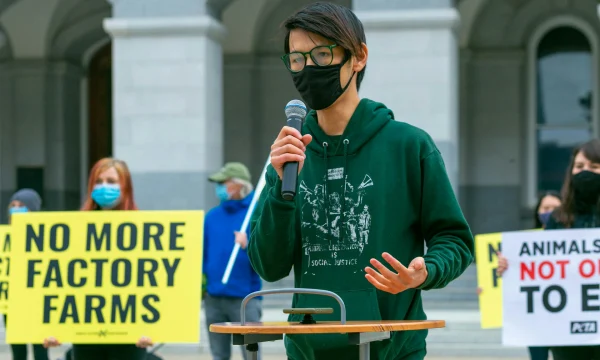 Factory Farm Pollution Harms Family Farms and Frontline Communities